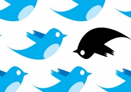 passarinhos azuis do Twitter e um deles preto e virado ao contrário